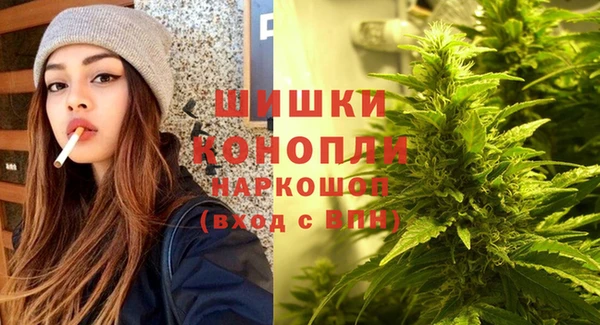 амф Козловка