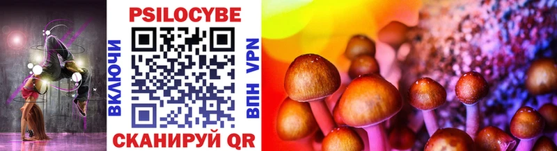 где можно купить наркотик MEGA рабочий сайт Галлюциногенные грибы Magic Shrooms Мезень